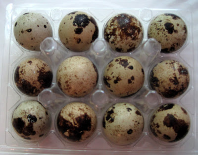 Farmer’s Market Find: Quail Eggs!